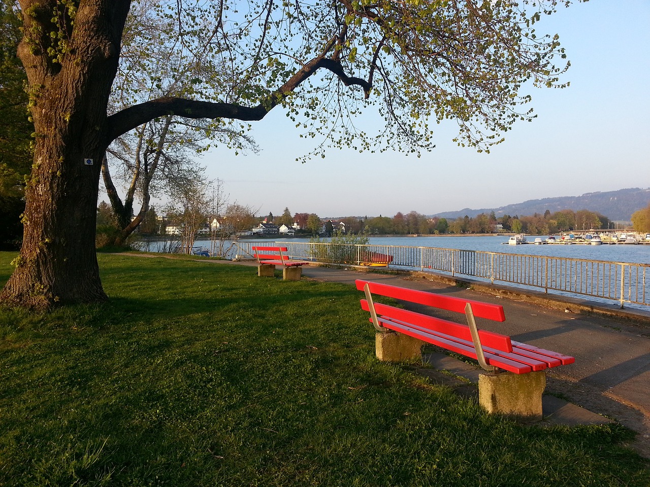 的心理状态 的心理状态