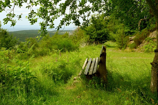 滄州雄獅第一階段成績糟糕 或將在間歇期換帥.